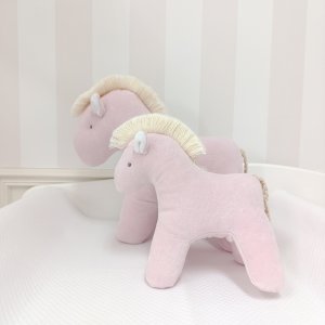 Konik pudrowy